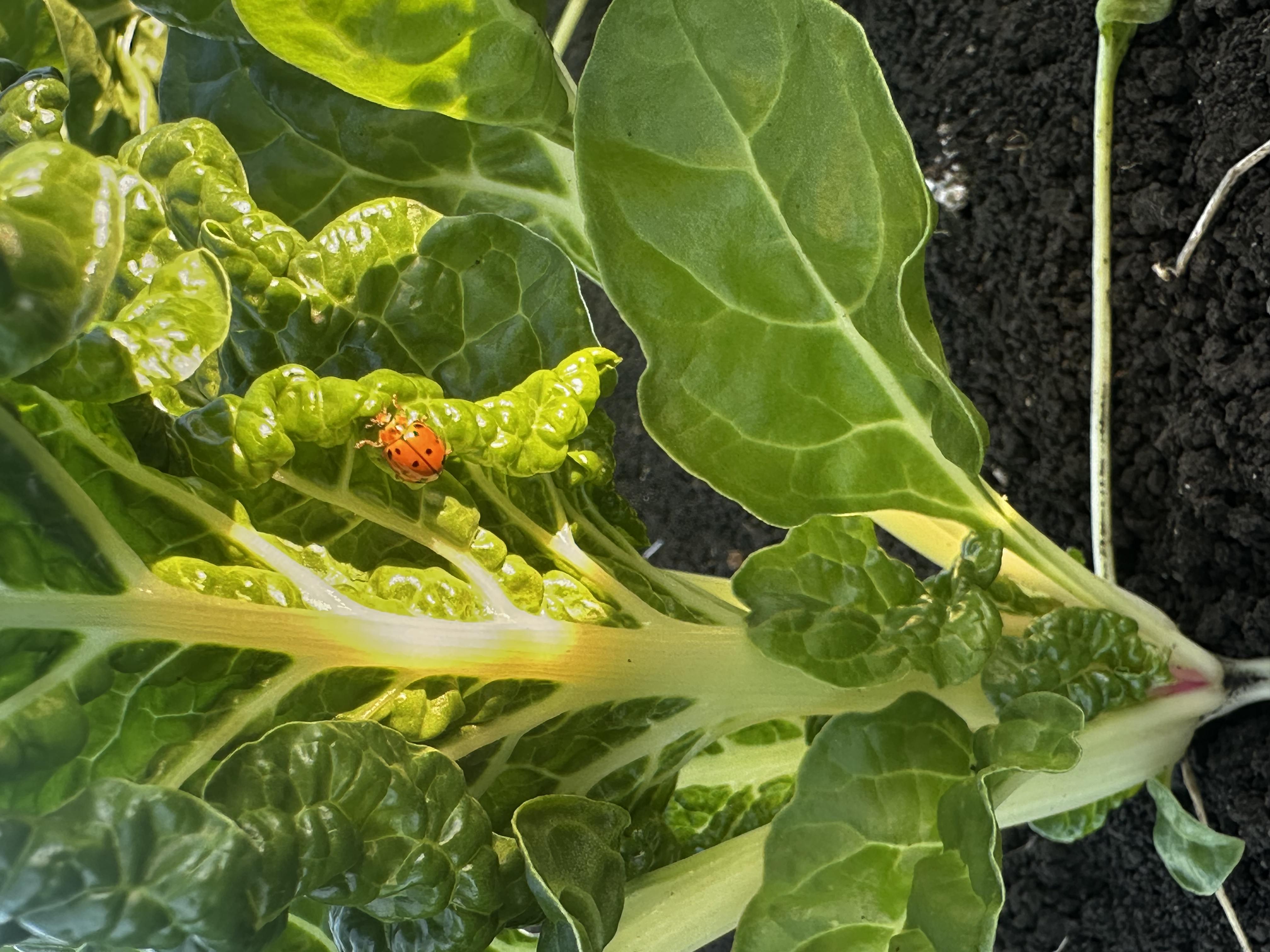 Complete Plant Protection Benefits